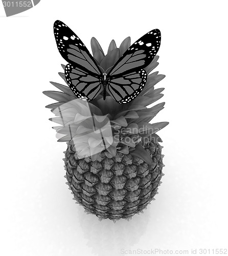 Image of Red butterflys on a pineapple