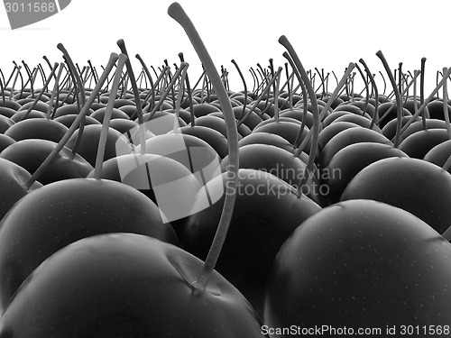 Image of sweet cherries 