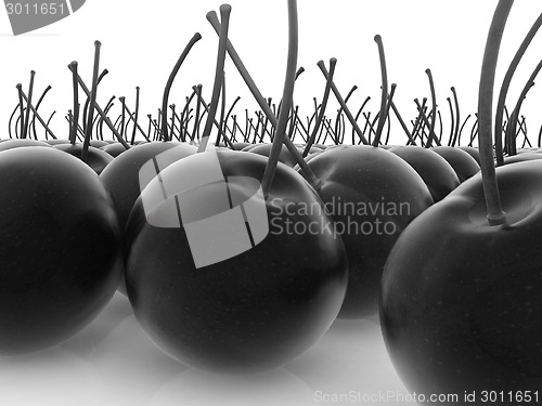 Image of sweet cherries 