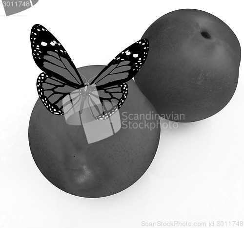Image of Red butterflys on a fresh peaches