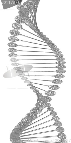 Image of DNA structure model 