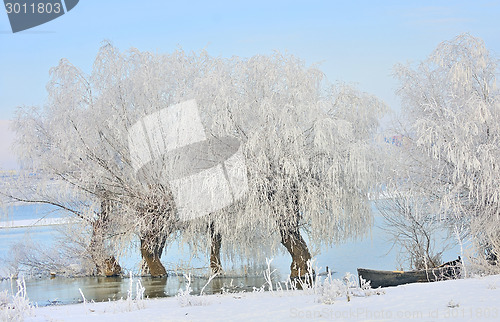 Image of Frosty winter trees and boat