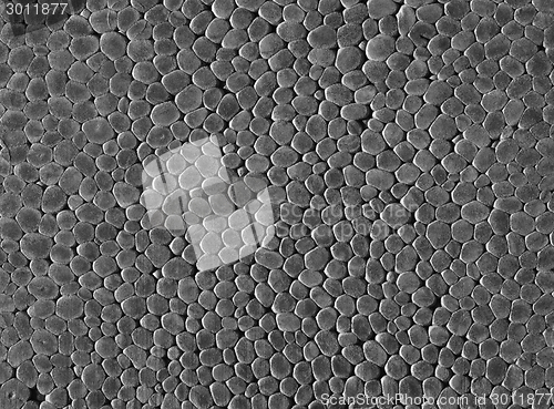 Image of Polystyrene closeup