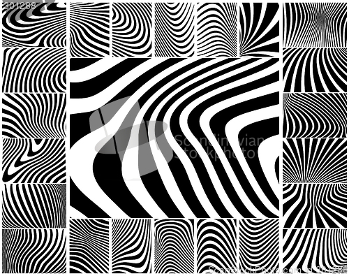 Image of Zebra stripes