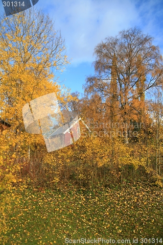 Image of Red house in autumn