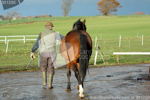 Image of Man and horse