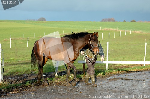 Image of Horse and man
