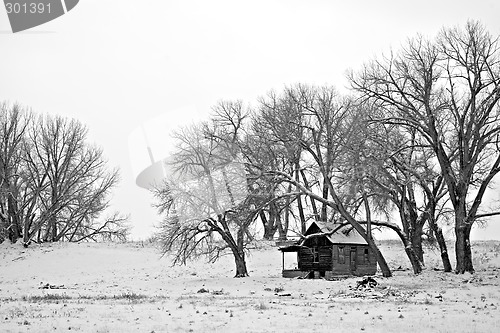 Image of winter shelter