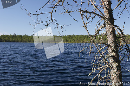 Image of Lakeside view