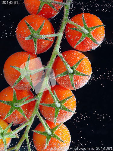 Image of tomato splash in water