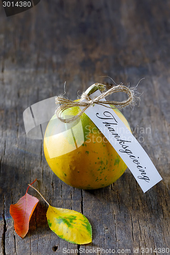 Image of Thanksgiving pumpkin 