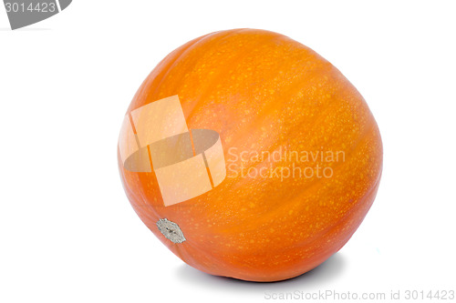 Image of Large ripe pumpkin on a white background.