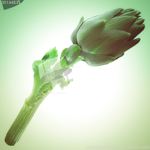 Image of Retro look Artichoke