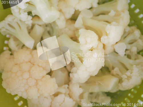 Image of Cauliflower vegetable