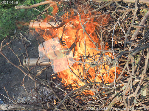 Image of Burning fire