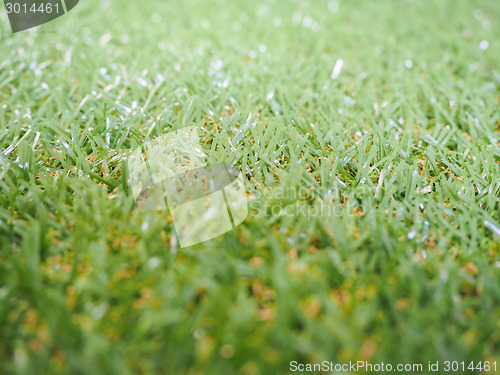Image of Artificial grass