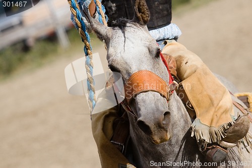 Image of rodeo horse barrel racing