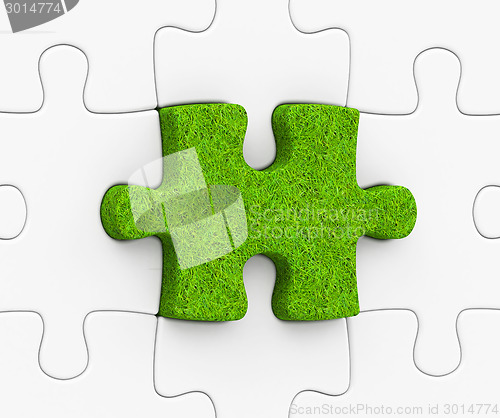 Image of the grass puzzle