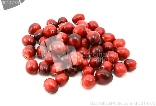 Image of Whole fresh cranberries