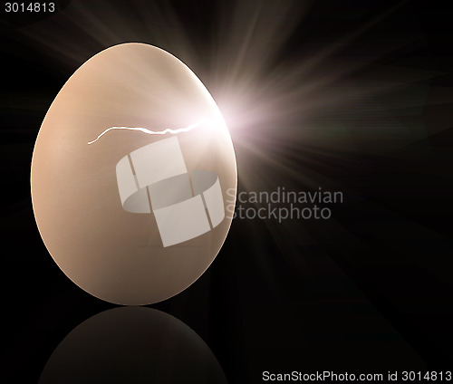 Image of the broken egg