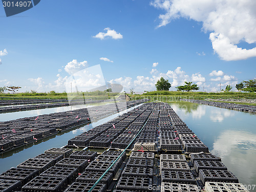 Image of Aquaculture in Myanmar