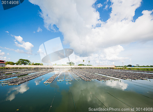 Image of Aquaculture in Myanmar