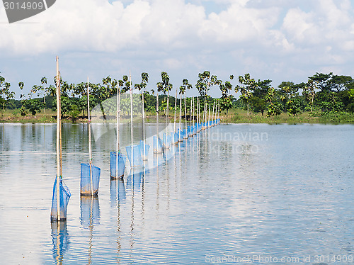 Image of Aquaculture in Myanmar