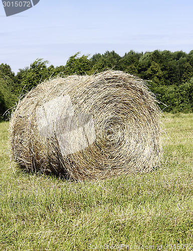 Image of Hay roll