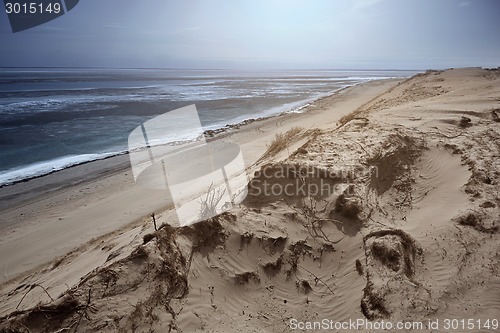 Image of Sea and desert