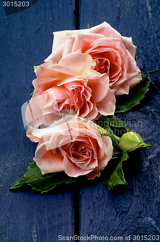 Image of Pink Roses