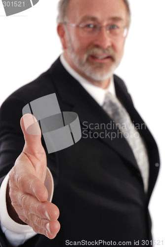 Image of Senior Businessman
