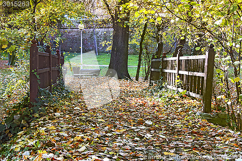 Image of Wooden bridge in autumn