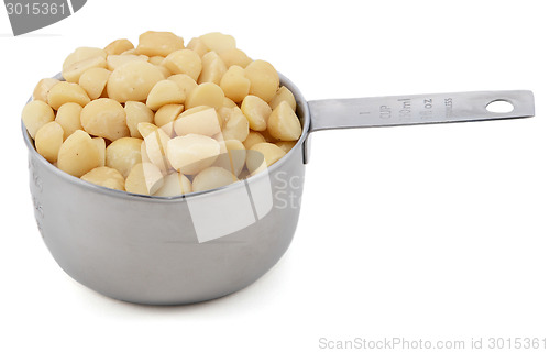 Image of Macadamia nuts in a cup measure