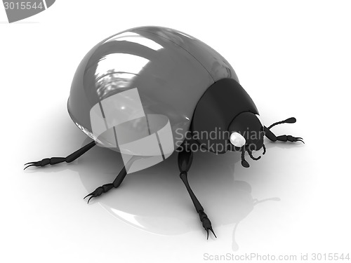 Image of Ladybird 