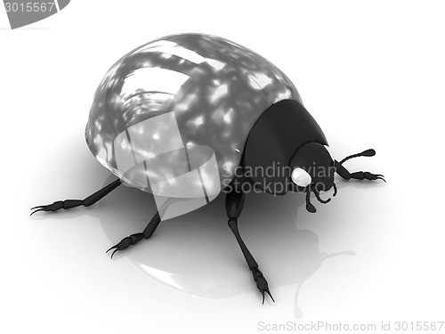 Image of Ladybird 