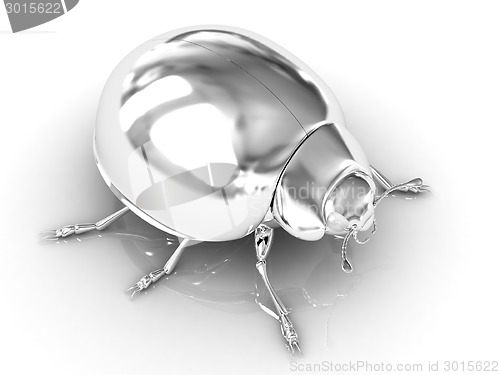 Image of Chrome beetle 