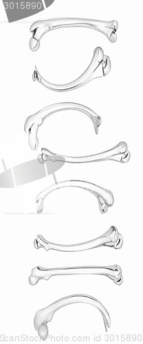 Image of Set of metal bone 