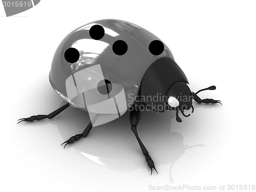 Image of Ladybird 