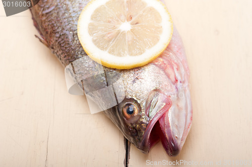 Image of fresh whole raw fish