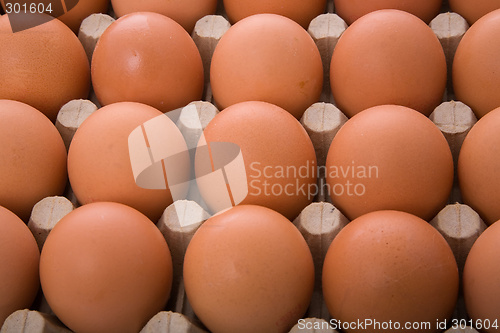 Image of Eggs in a box