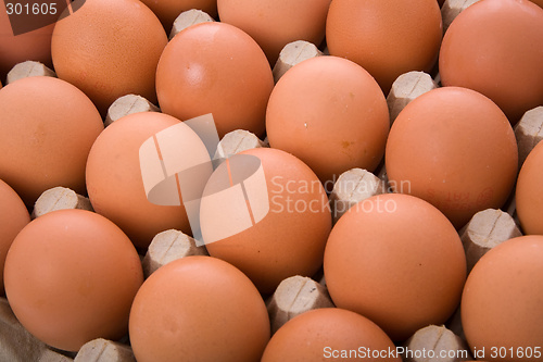 Image of Eggs in a box