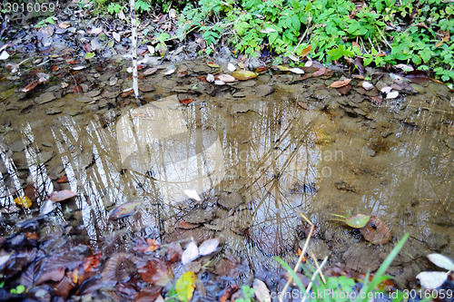 Image of Pond