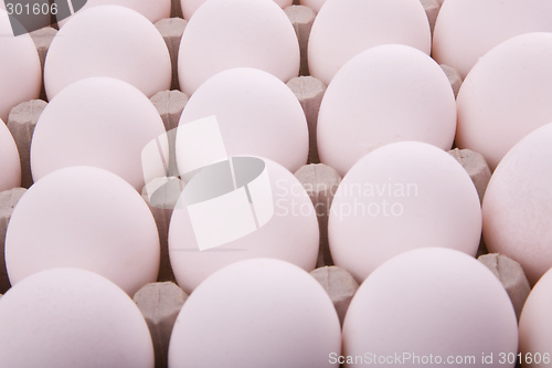 Image of Eggs in a box