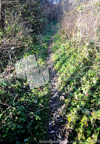 Image of Path