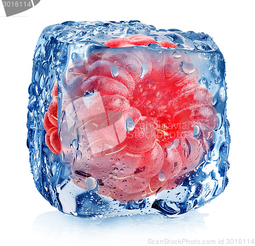 Image of Pink raspberry in ice