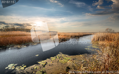 Image of Autumn river and reeds