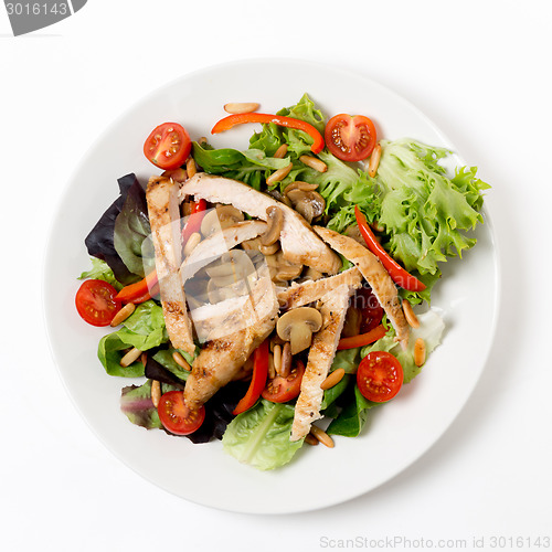 Image of Chicken and mushroom salad from above