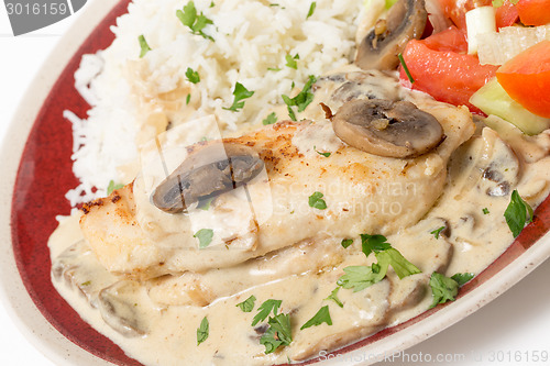 Image of Chicken stroganoff plate at an angle