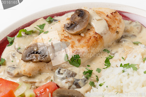 Image of Chicken stroganoff with rice