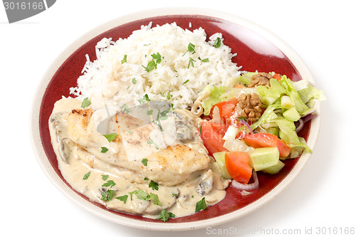 Image of Chicken stroganoff with rice
